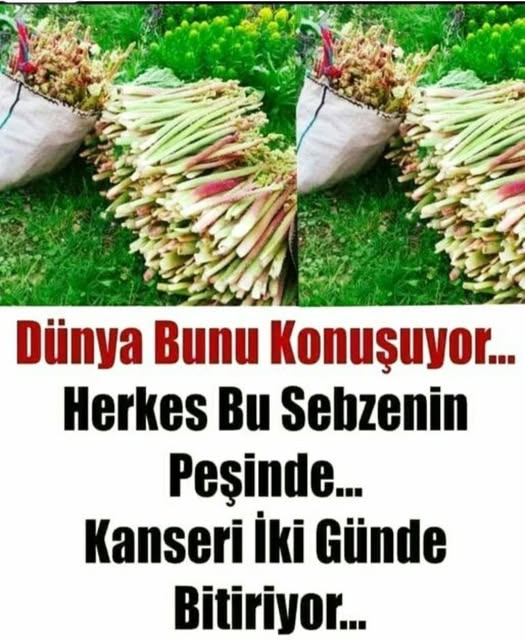 Dünya Bunu Konuşuyor... Herkes Bu Sebzenin Peşinde..?