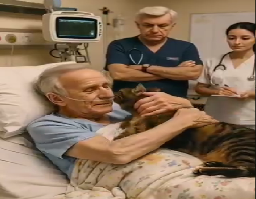 Zorlu bir ameliyattan önce adam kedisine veda etmek için