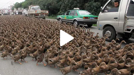hava yoğunlaşmış gibiydi